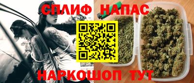 мдпв Можга