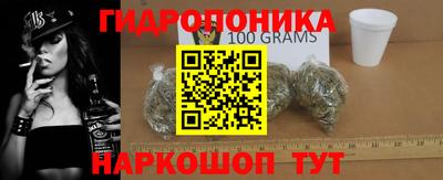 мдпв Можга